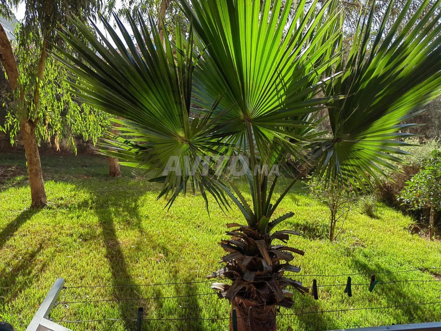 appartement jardin à vendre — photo 2